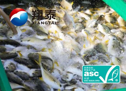 全球首家！海南翔泰漁業(yè)榮獲全球首張ASC金鯧魚網(wǎng)箱養(yǎng)殖認證證書