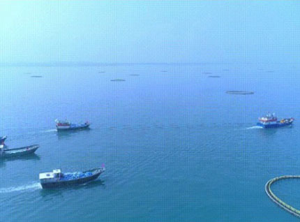 首批漁獲——翔泰2023金鯧魚全面開捕，從南海到餐桌，全程可追溯！