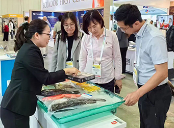 深耕海外市場--海南翔泰漁業(yè)閃耀新加坡、土耳其國際展會，解鎖全球水產(chǎn)合作新機(jī)遇